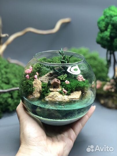 Моссариум с домиком и водоемом