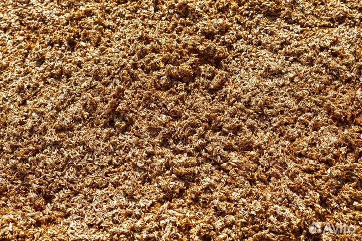 Пивная дробина