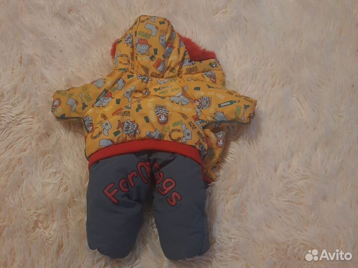 Одежда для маленьких собак