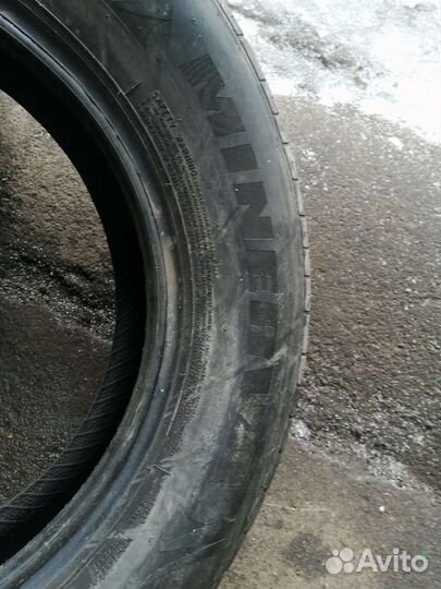 Minerva 209 205/65 R15