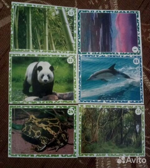 Наклейки живая планета