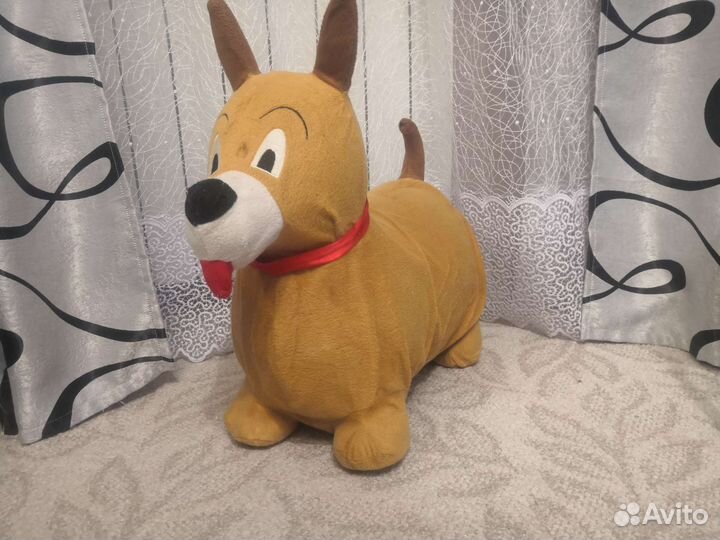 Собака прыгунки