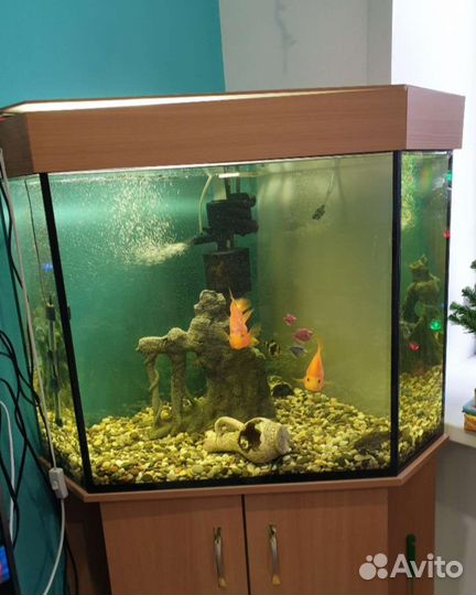 Аквариум угловой с тумбой