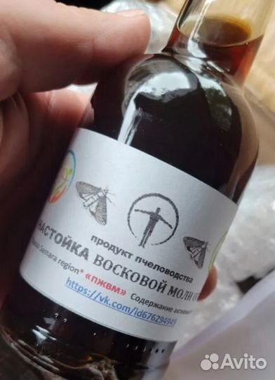 Огнёвка Восковая моль