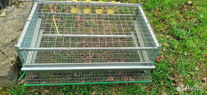 Клетка для перепелок