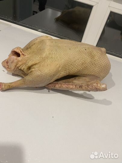 Гусь тушка мясо гуся