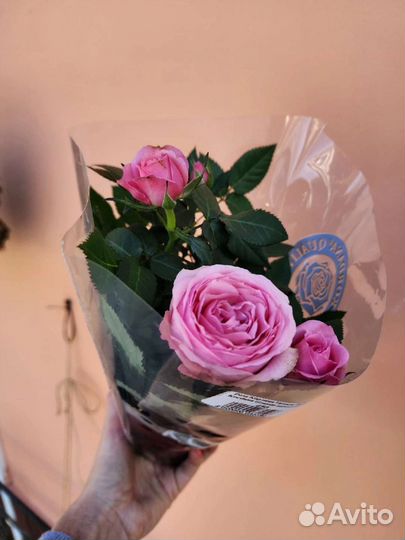 Цветы розы букет