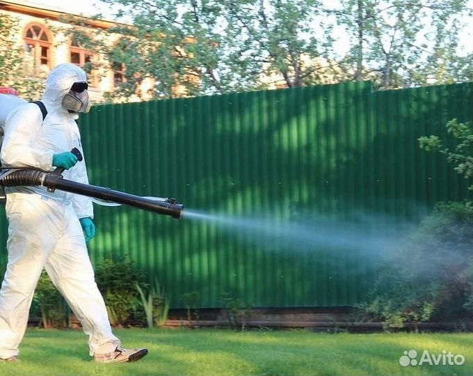 Уничтожим клопов тараканов клещей плесень запахи