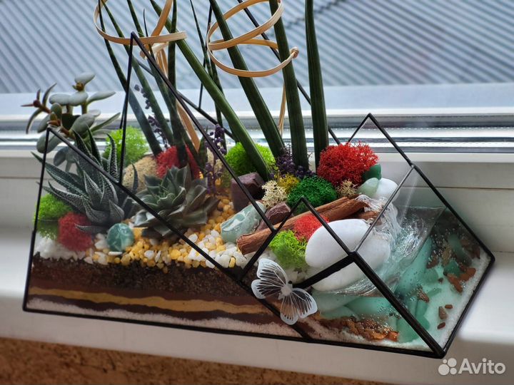 Живые суккуленты в вазе Композиция флорариум