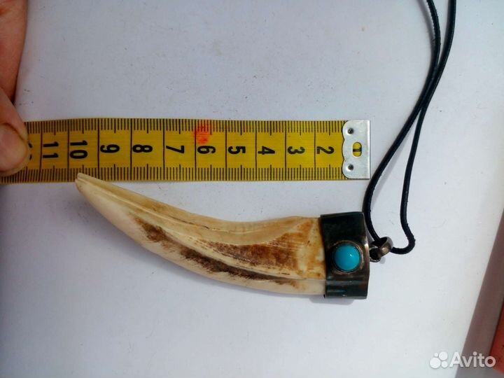 Клык кабана 10см талисман медальон