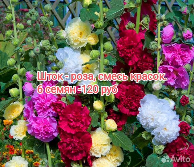 Семена цветов, арбуза