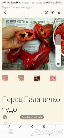 Семена сладкого перца