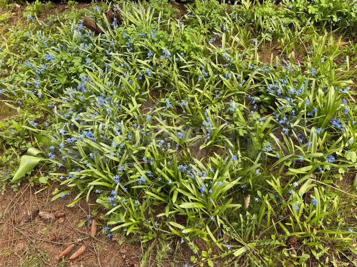 Дача 36 м² на участке 6,2 сот.