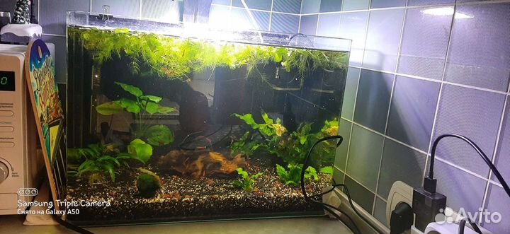 Аквариум 45 литров