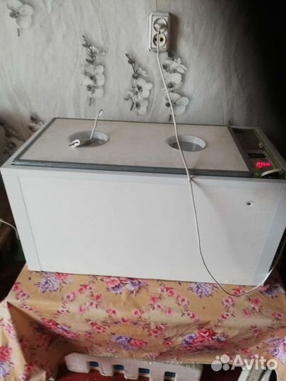 Инкубатор для яиц автоматический бу