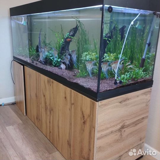 Аквариум с тумбой 600 литров