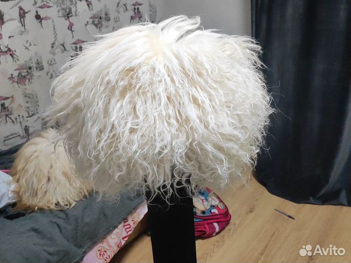 Шапки меховым помпоном