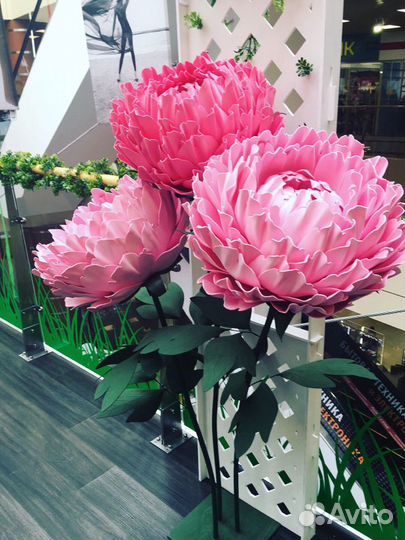 Большие цветы. Аренда/продажа