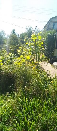 Дача 20 м² на участке 6 сот.