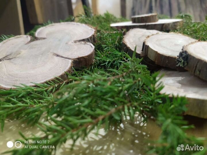 Можжевельник