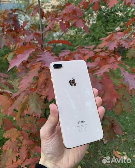 iPhone 8 Plus, 64 ГБ