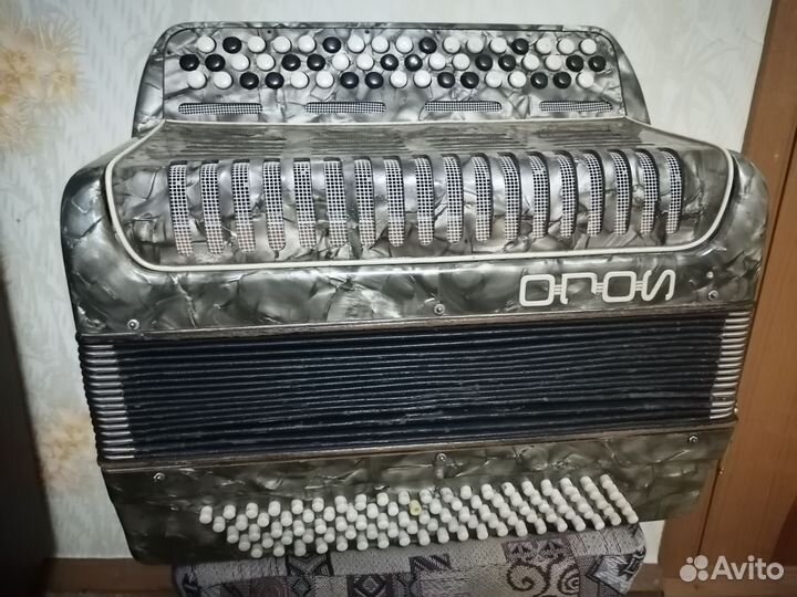 Баян немецкий