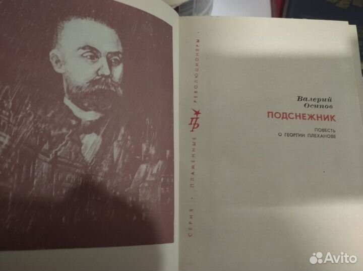 Книги из серии Пламенные Революционеры