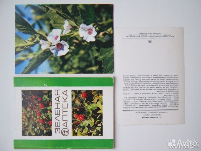 Открытки СССР Цветы, природа и пр