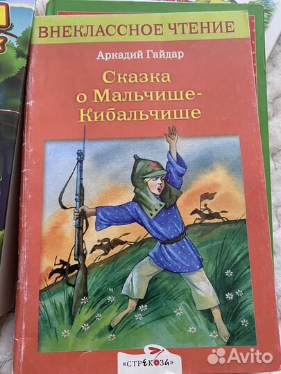 Книги внеклассное чтение