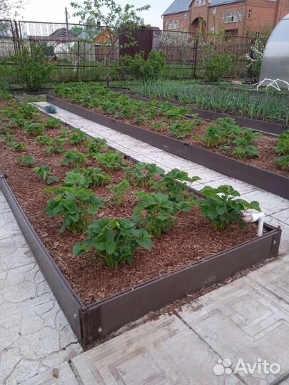 Мульча кора лиственницы