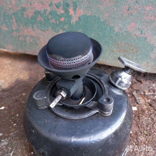 Примус шмель