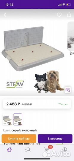 Туалет для животных