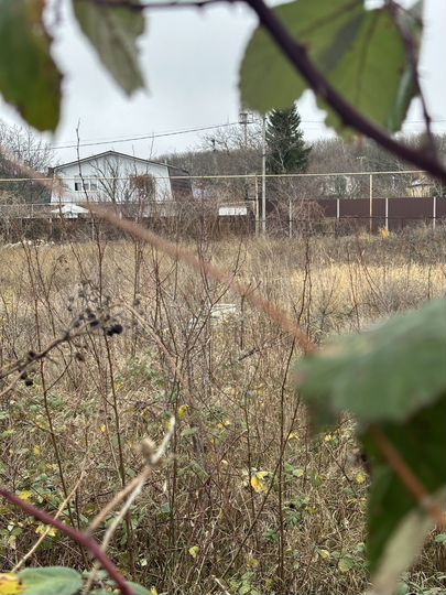 Участок 11 сот. (СНТ, ДНП)