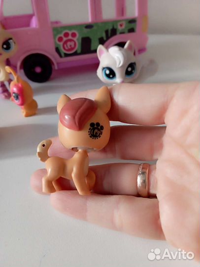 Littlest Pet Shop LPS