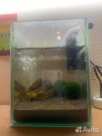 Аквариум маленький
