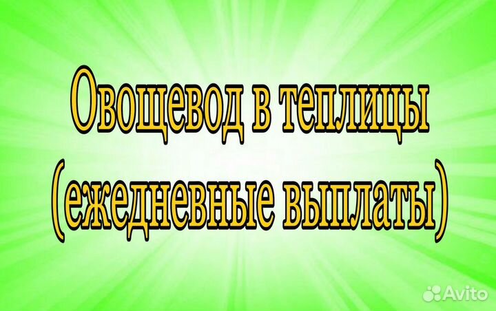 Овощевод в теплицу (ежедневные выплаты)