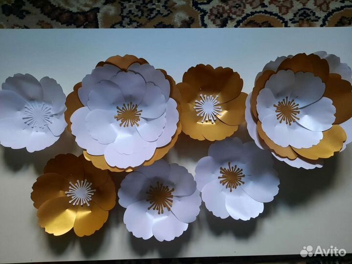 Интерьерные цветы