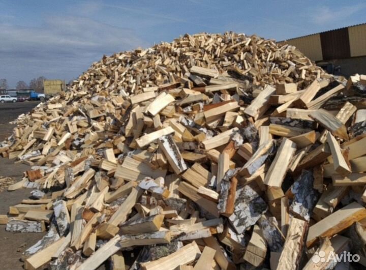 Дрова березовые