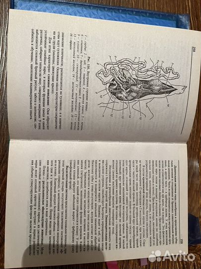 Книга по биологии