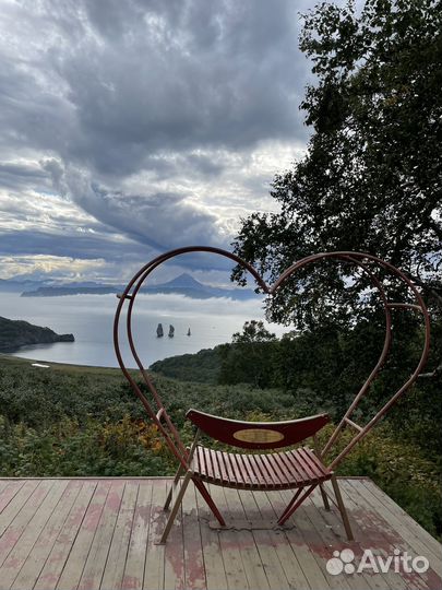 Аренда авто с водителем