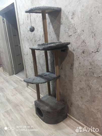 Домик для котов