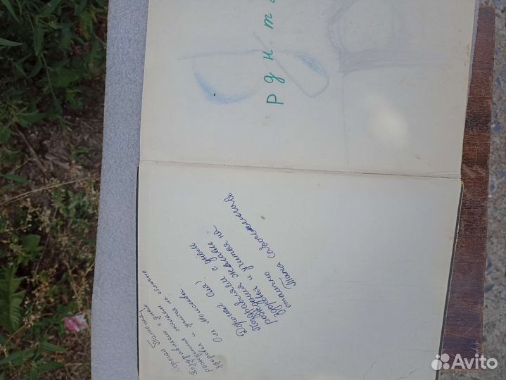 Русский язык в картинках