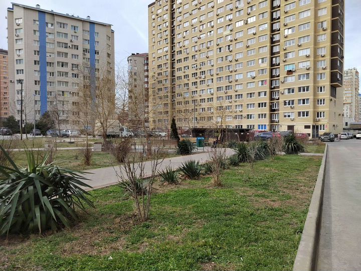 Квартира-студия, 22,5 м², 17/17 эт.