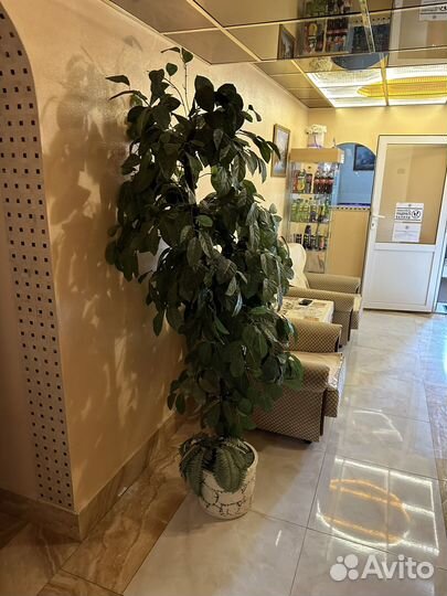 Искусственное дерево в горшке