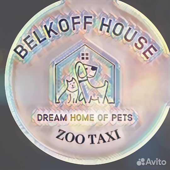 Такси для животных 