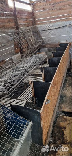 Клетки для кроликов