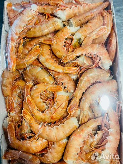 Лангустины С1 Без головы рыба доставка