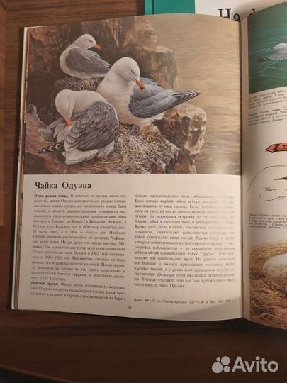 Энциклопедии.Тайная жизнь животных(комплект из 3 к