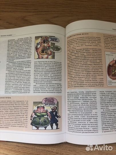 Энциклопедия для детей