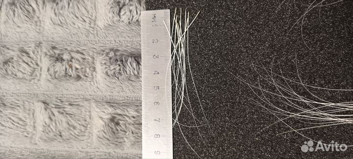 Усы кота Мейн Куна